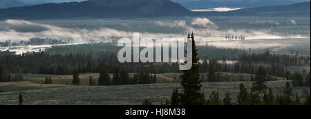 Levée de la brume sur la rivière Snake, un matin de printemps à Jackson Hole. Parc National de Grand Teton, Wyoming Banque D'Images