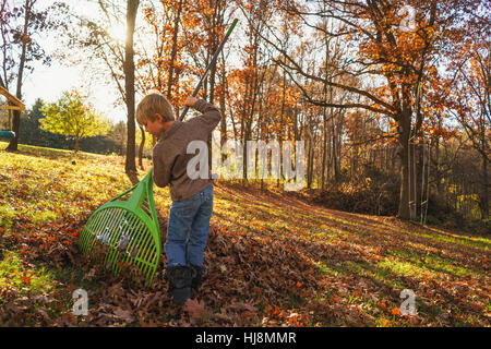 Jeune garçon raking autumn leaves Banque D'Images