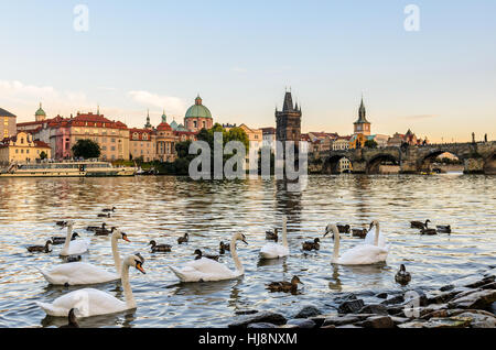 Le Pont Charles sur la Vltava, Prague, République Tchèque Banque D'Images