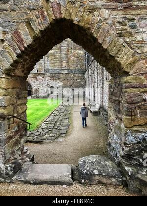 Garçon marchant à travers abbaye de Tintern, comté de Wexford, Irlande Banque D'Images