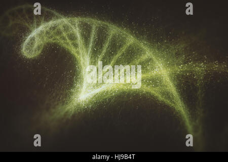 L'acide désoxyribonucléique (ADN), molécule qui porte les instructions génétiques du développement, du fonctionnement et de la reproduction de tous les organismes vivants d'un Banque D'Images