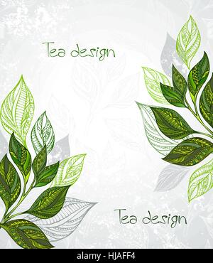 À motifs Design, vert et gris feuilles de thé sur un arrière-plan de texture gris. Plateau design. Illustration de Vecteur