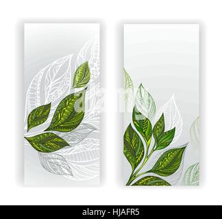 Deux bannières,, vert, gris et blanc les feuilles de thé et les pousses. Plateau design. Illustration de Vecteur