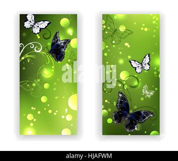 Bannière rectangulaire avec deux papillons noirs sur fond lumineux vert. Verdure. Conception avec les papillons. Illustration de Vecteur