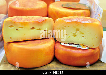 Fromage au lait de brebis fait traditionnel Banque D'Images