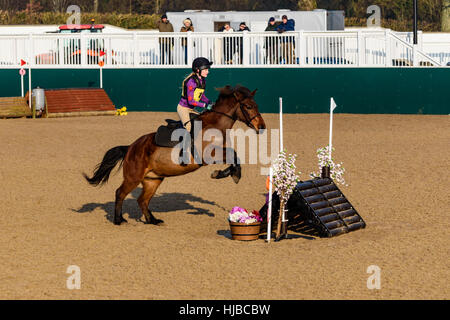 Femme rider sur son cheval approcher une clôture à un concours. Banque D'Images