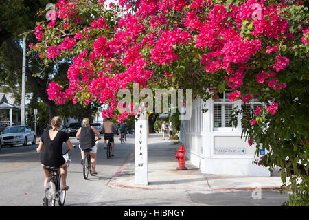 Les touristes de l'Ouest clé location col Olivia Street à Key West, en Floride. Banque D'Images