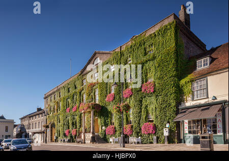 Angek Hôtel, Place du marché, de Bury St Edmunds, Cambridgeshire, Angleterre, couverte de vigne vierge. Banque D'Images