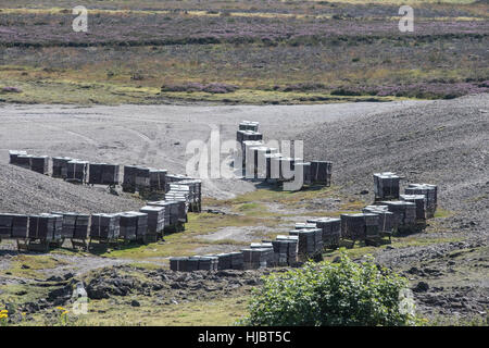 Ruches sur un heather moor, Yorkshire Dales, détecteurs Redmire proche, pour la production de miel de bruyère Banque D'Images