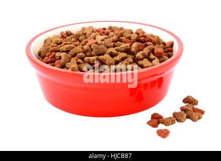 Aliments secs pour chats dans un bol rouge, quelques biscuits à côté renversé, isolé sur fond blanc Banque D'Images