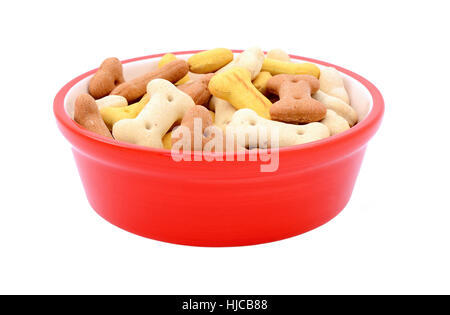 En forme d'os secs biscuits pour chiens rouge dans un bol d'aliments pour animaux de compagnie, isolé sur fond blanc Banque D'Images