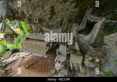 Tana Toraja cimetière à Kete Kesu, Sulawesi, Indonésie Banque D'Images