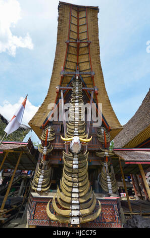 Tongkonan maisons traditionnelles dans la région de Tana Toraja, Sulawesi, Indonésie Banque D'Images