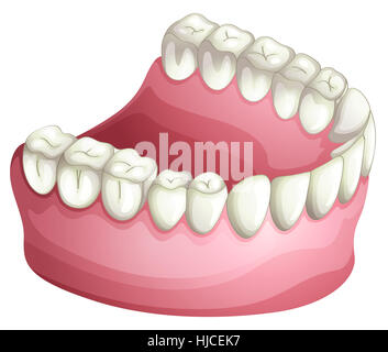 Les humains, les êtres humains, les gens, la musique folk, des personnes, les droits de l', être humain, objet, Banque D'Images