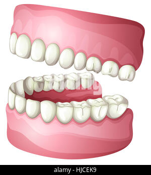 Les humains, les êtres humains, les gens, la musique folk, des personnes, les droits de l', être humain, objet, Banque D'Images