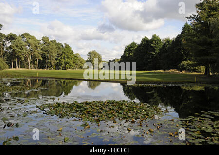 Vue sur l'étang sur le 16ème trou en arrière vers le bas le fairway, Camberley Surrey Heath Golf Club en Angleterre Banque D'Images