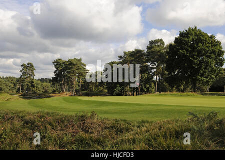 Vue depuis le côté de la 14e vert avec Heather, Camberley Surrey Heath Golf Club en Angleterre Banque D'Images