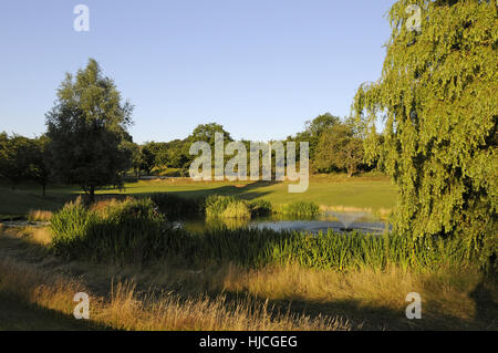 Vue vers le bas sur l'étang au 18ème green et fairway ,Cherry Lodge Golf Club, Biggin Hill, Kent, Angleterre Banque D'Images