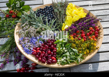 Blütenteller Früchteteller Spätsommer und. Blüten, Blumen, Kräuter Kräuter, Debussy, Kräuterernte, Blüten und Früchte auf einem Teller sortiert, bunt, Banque D'Images