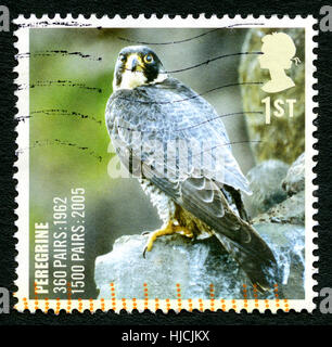 Grande-bretagne - circa 2005 : un timbre-poste utilisé depuis le Royaume-Uni, représentant une image d'un Pelegrine Falcon oiseau de proie, vers 2005. Banque D'Images