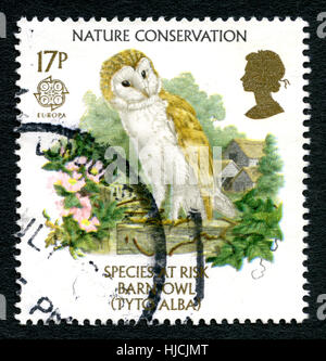 Grande-bretagne - VERS 1986 : un timbre-poste utilisé à partir du Royaume-Uni, la promotion de la conservation de la nature et d'une illustration d'une Effraie des clochers, vers 1986. Banque D'Images