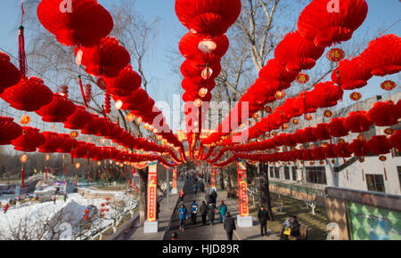 Beijing, Chine. 24 Jan, 2017. Les lanternes rouges sont définis comme décorations dans la région de South Gate Beijing, capitale de la Chine, le 24 janvier 2017, d'accueillir la prochaine fête du printemps, ou Nouvel An lunaire chinois, qui tombe le 28 janvier cette année. Credit : Luo Xiaoguang/Xinhua/Alamy Live News Banque D'Images