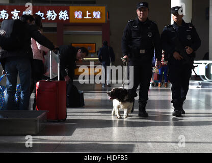 Hefei, Chine, Anhui Province. 24 Jan, 2017. Yang Naiwen Formateur de chien de police et Tiehu patrouille à la gare de Hefei de Hefei, capitale de la province de l'Anhui en Chine orientale, le 24 janvier 2017. De nombreux chiens policiers sont en service pendant la Fête du Printemps les rush entre le 13 janvier et le 21 février. C'est la 7ème fois pour Tiehu, un enfant de 8 ans chien renifleur, pour servir la ruée vers les voyages autour de la fête du printemps, qui tombe le 28 janvier cette année. Credit : Guo Chen/Xinhua/Alamy Live News Banque D'Images