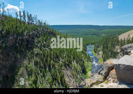 Gibbon Falls, parc national de Yellowstone, Wyoming, USA Banque D'Images