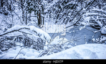 Hiver neige sur les lacs de Plitvice en Croatie. Banque D'Images