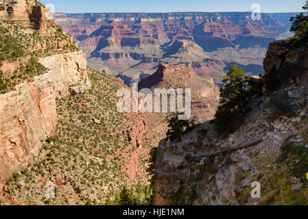 Vue du Bright Angel Trail, le Parc National du Grand Canyon, Arizona, USA Banque D'Images