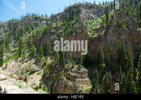 Gibbon Falls, parc national de Yellowstone, Wyoming, USA Banque D'Images