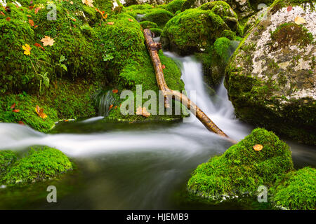 Sur le magnifique paysage automne Creek près de Bohinj.Slovénie Banque D'Images