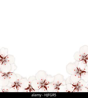 Bstract fait frontière à Sakura en fleurs fleurs Illustration de Vecteur