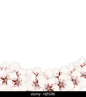 Frontière abstraite faite à Sakura en fleurs fleurs Illustration de Vecteur
