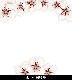 Châssis avec Sakura en fleurs fleurs Illustration de Vecteur