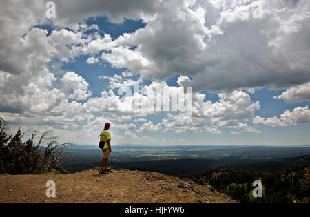 Randonneur sur le sentier du mont Washburn surplombant le Grand Canyon de la Yellowstone et la Hayden Valley area de Yellowstone NP. Banque D'Images