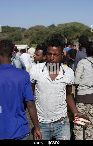 L'homme poissons est en vente à l'Amora Geddel marché de poisson de Awass, Ethiopie Banque D'Images