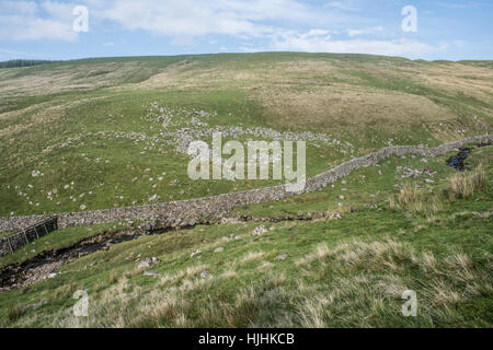 Vestiges d'une bergerie monastique (washfold Raydale) dans le Yorkshire Dales National Park Banque D'Images