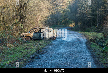 Vol de véhicule abandonné sur une piste forestière à distance dans le sud du Pays de Galles Banque D'Images