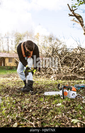 Lumberjack mise sur un faisceau allant d'élaguer un arbre. Banque D'Images