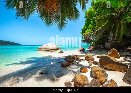 Plage de l'île de Mahé, Seychelles, Plage Anse à la Mouche Banque D'Images