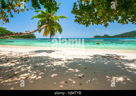 Plage de l'île de Mahé, Seychelles, Baie Lazare Banque D'Images