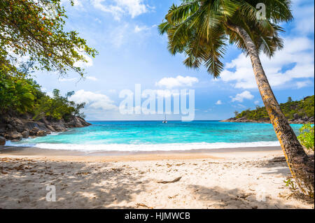 Plage de l'île de Mahé, Seychelles, Anse Plage Major Banque D'Images