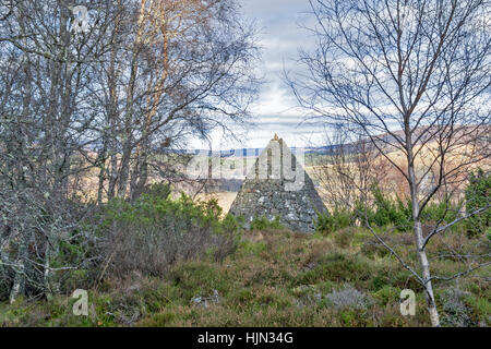 CAIRNS BALMORAL BALMORAL ESTATE CRATHIE PRINCE LEOPOLDS CAIRN situé parmi les bouleaux Banque D'Images