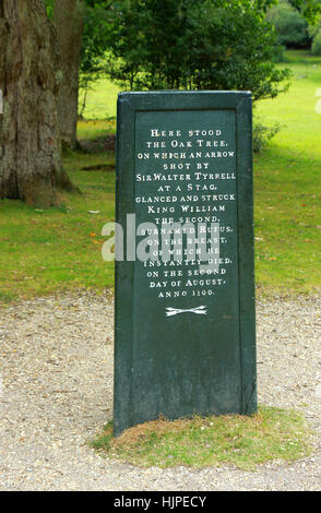 Rufus stone dans la New Forest Banque D'Images