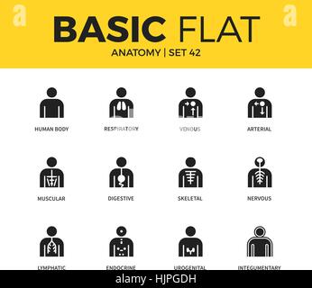 Ensemble de base d'icônes anatomie Illustration de Vecteur