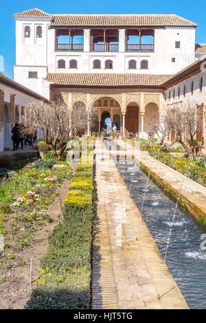 Patio de la Azequia Alhambra Grenade Espagne Banque D'Images