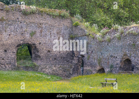 Abbey Ruins Lecture Berkshire UK Banque D'Images