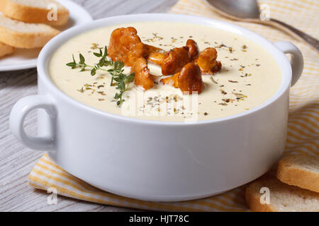 Soupe à la crème aux champignons girolles, thym et de croûtons horizontale gros plan Banque D'Images