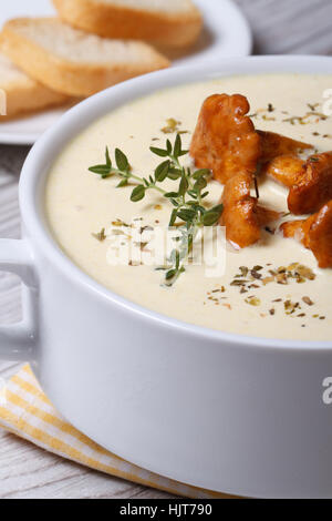 Soupe à la crème aux champignons girolles et le thym, croûtons fermer jusqu'à la verticale Banque D'Images